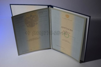 Диплом Университета 2008г в Волжске