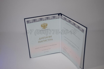 Диплом Магистра 2024г ООО "Знак" в Волжске