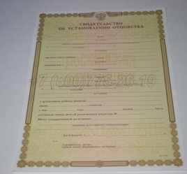 Свидетельство об Установлении Отцовства 2015г в Волжске