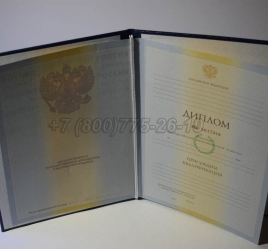 Диплом Института 2010г в Волжске