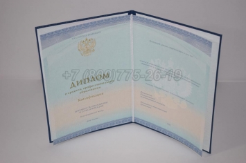 Диплом Техникума 2018г СпецБланк в Волжске