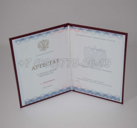 Аттестат За 11 Класс 2024г Золото ГОЗНАК в Волжске