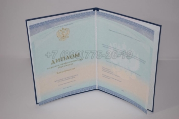 Диплом Техникума 2024г СпецБланк в Волжске