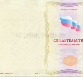 Свидетельство о Профессии Рабочего "Авиационный механик (техник) по радиооборудованию" в Волжске